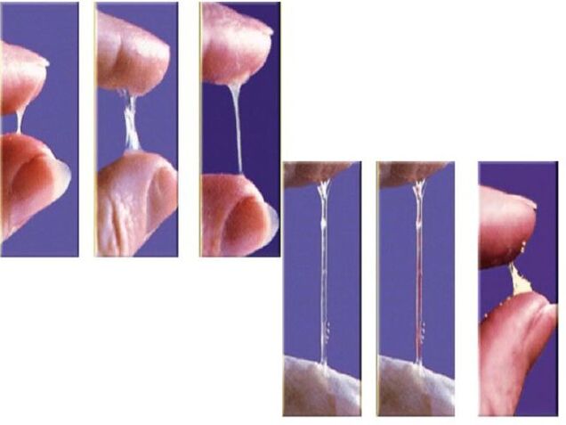 La cohérence de l'éjaculation précédente